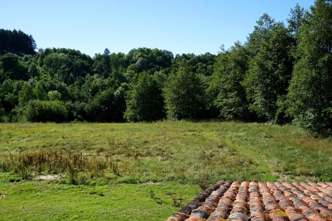 Les Neuf Bouleaux Panzió Job Kültér fotó