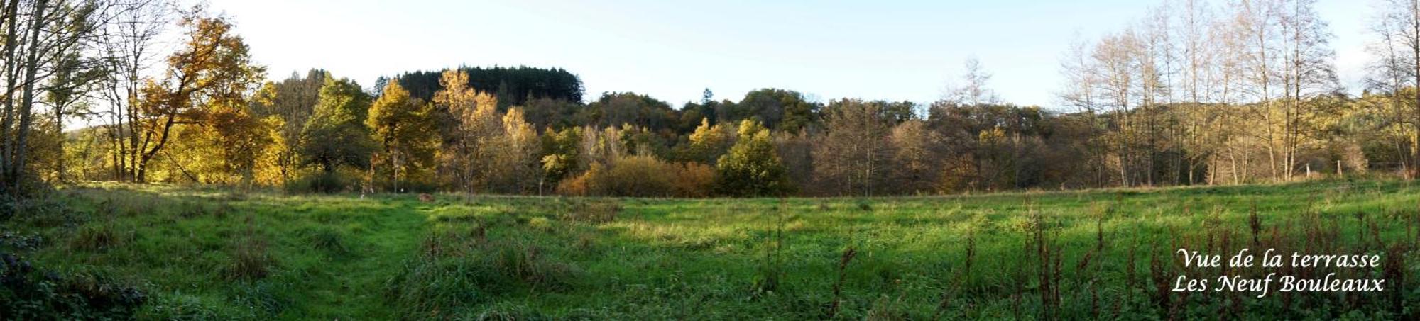 Les Neuf Bouleaux Panzió Job Kültér fotó